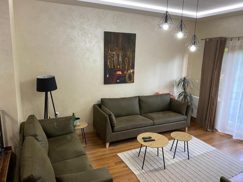 Apartments Vila Knez Zlatibor Ruang foto