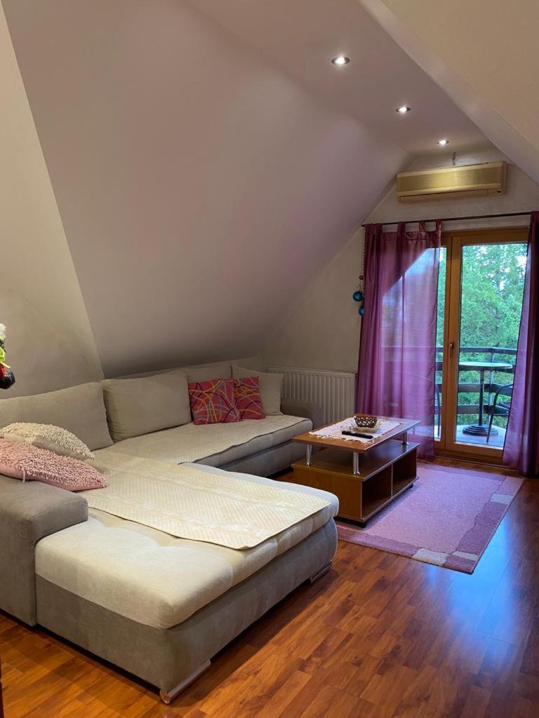 Apartments Vila Knez Zlatibor Ruang foto
