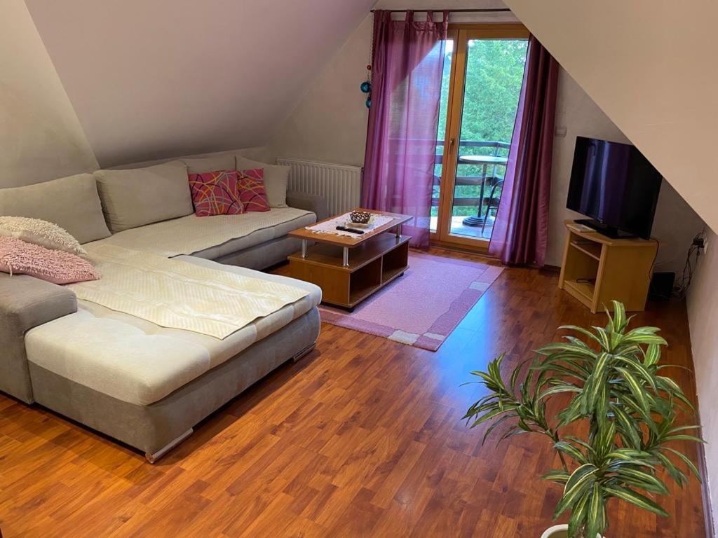 Apartments Vila Knez Zlatibor Ruang foto