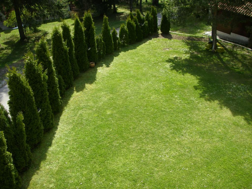 Apartments Vila Knez Zlatibor Bagian luar foto
